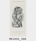 PK1932_306.jpg