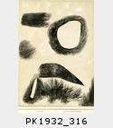 PK1932_316.jpg