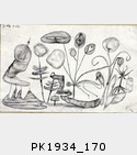 PK1934_170.jpg