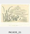 PK1935_21.jpg
