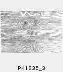 PK1935_3.jpg