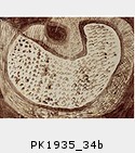 PK1935_34b.jpg