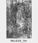 PK1935_54.jpg