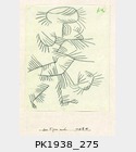 PK1938_275.jpg