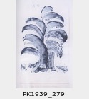 PK1939_279.jpg