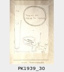 PK1939_30.jpg