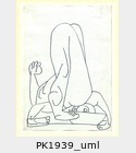 PK1939_uml.jpg