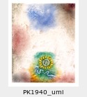 PK1940_umi.jpg
